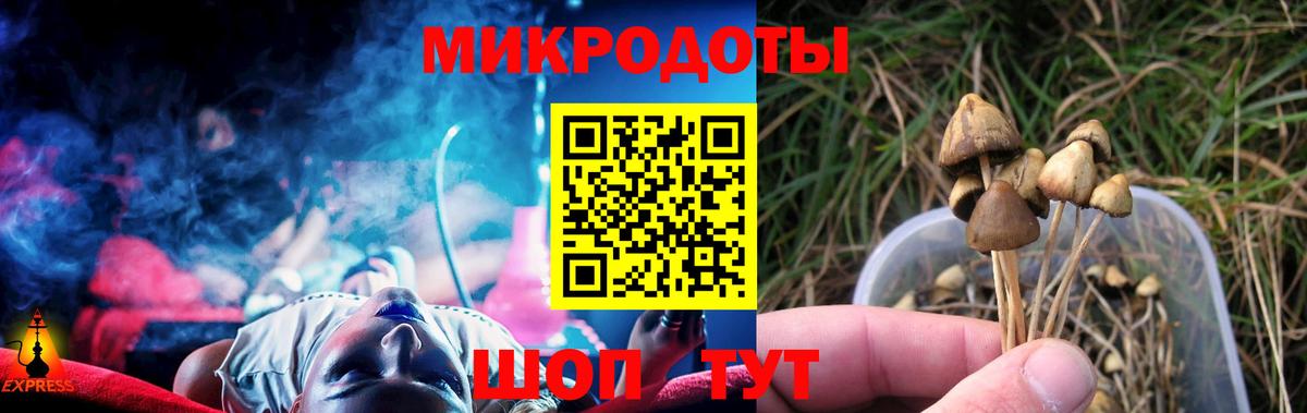 Екатеринбург  Псилоцибиновые грибы Psilocybe  Вход с VPN 